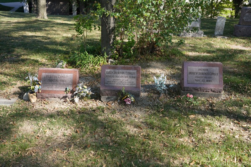 Plant, Cemetery, Headstone, Vegetation