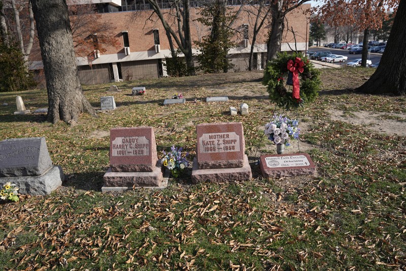 Plant, Tree, Cemetery, Headstone