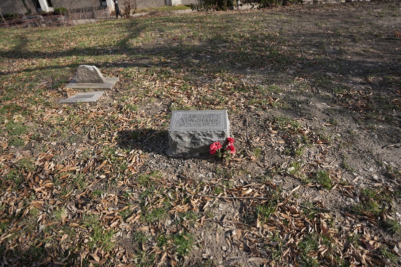 Plant, Vegetation, Cemetery, Grass