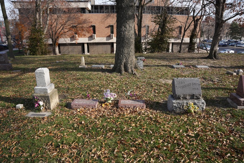 Plant, Daytime, Building, Headstone