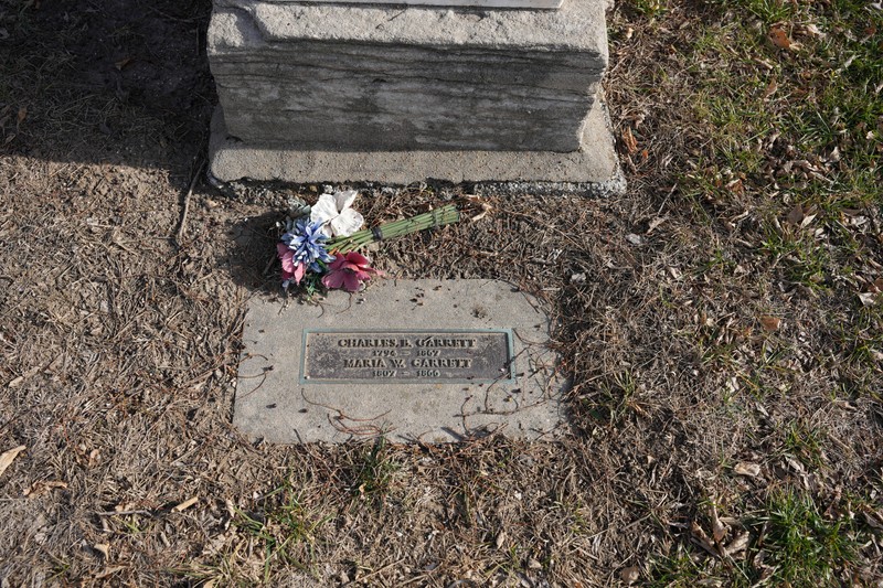 Leaf, Road surface, Cemetery, Vegetation