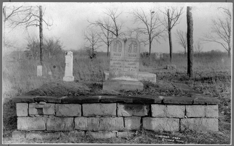 Plant, Cemetery, Grave, Headstone