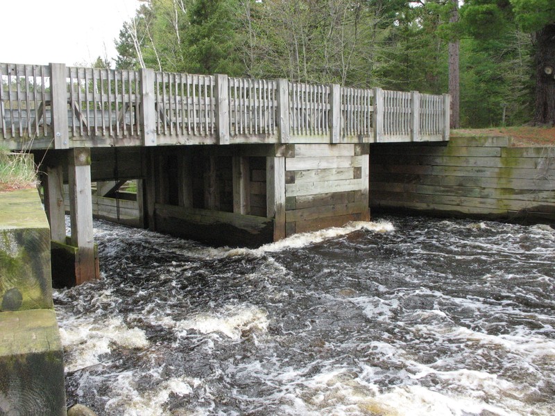 Water, Water resources, Fluvial landforms of streams, Tree