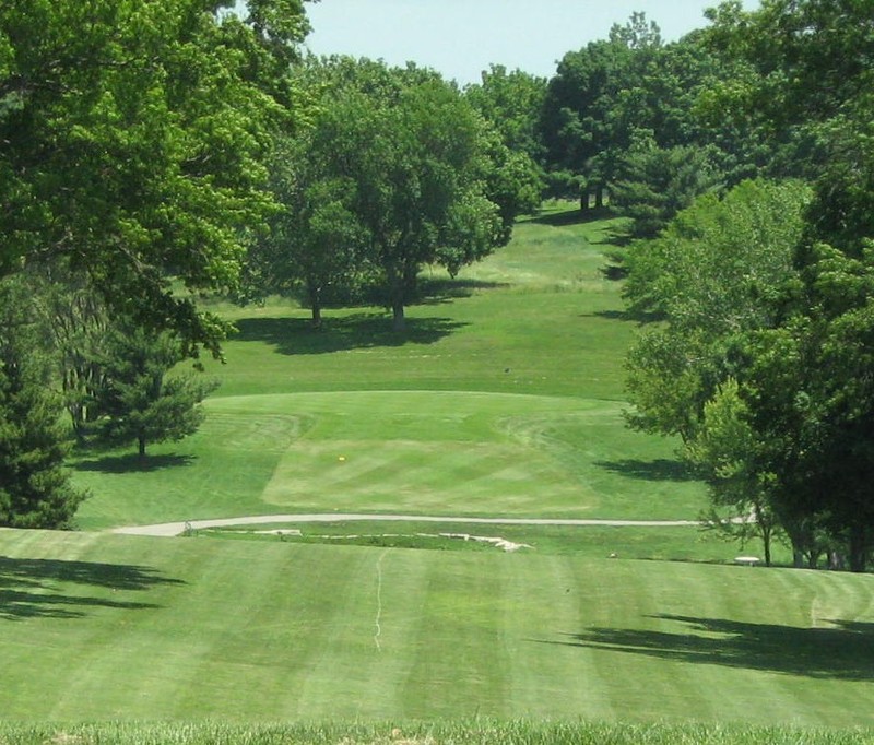 Plant, Tree, Natural landscape, Golf