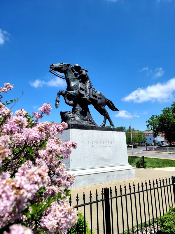 Horse, Plant, Sky, Cloud