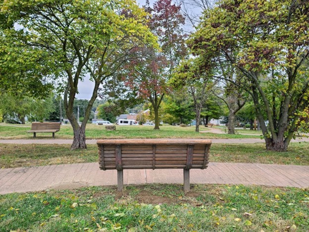 Plant, Outdoor bench, Furniture, Street furniture