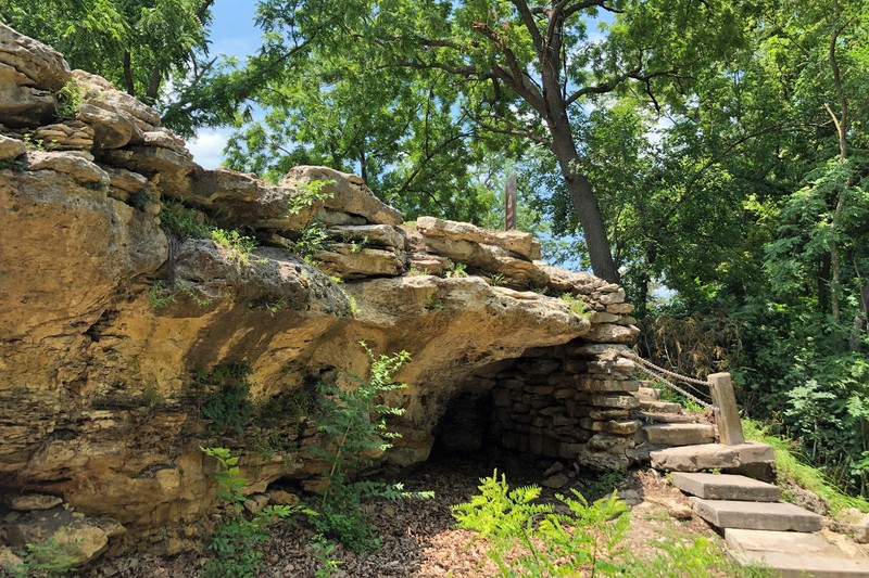 Plant, Natural landscape, Bedrock, Tree