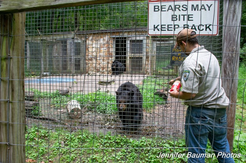 Wildlife Exhibit