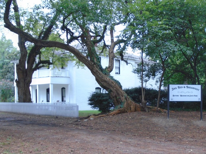 A larger, older specimen of Bois d'Arc sits in front of the Washington Jail Bed & Breakfast