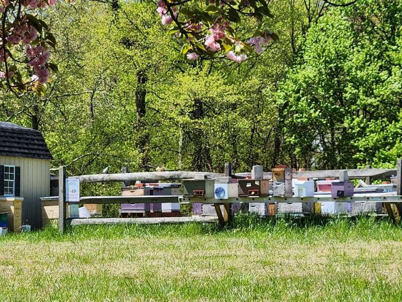 Douglas Bees and Planting Hope Apiary