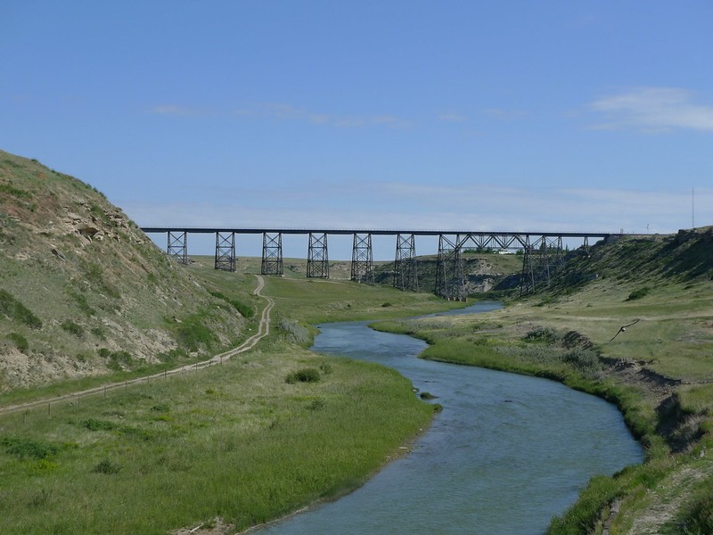 Sky, Water, Water resources, Plant