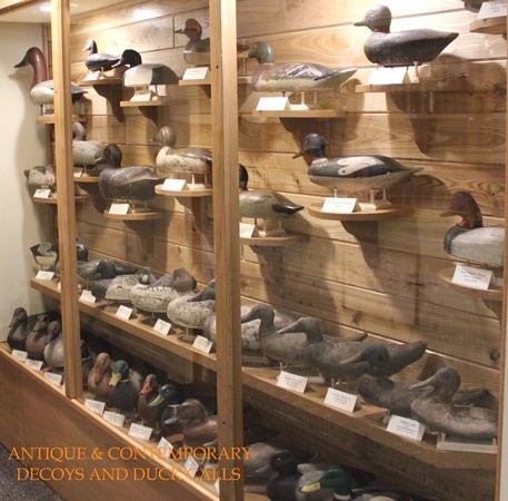 Some of the duck decoys on display