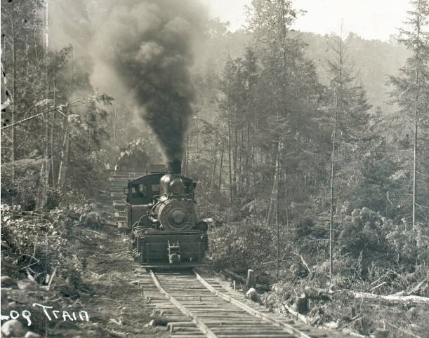 Train, Plant, Vehicle, Rolling stock