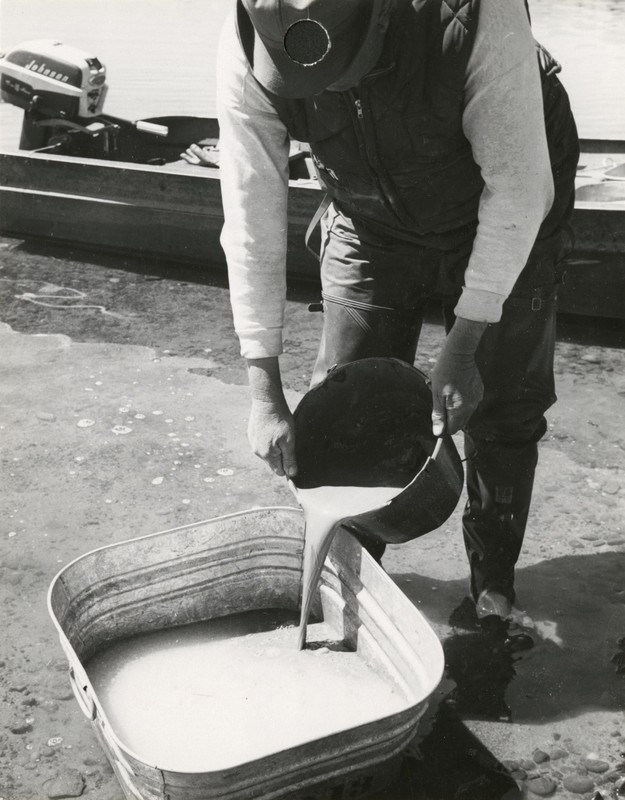 Water, Photograph, White, Shorts