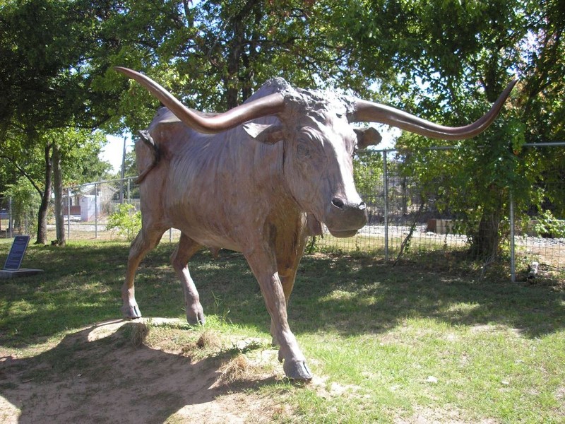 Bronze statue of longhorn steer