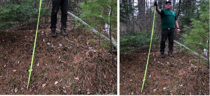 Trousers, Plant, Plant community, People in nature