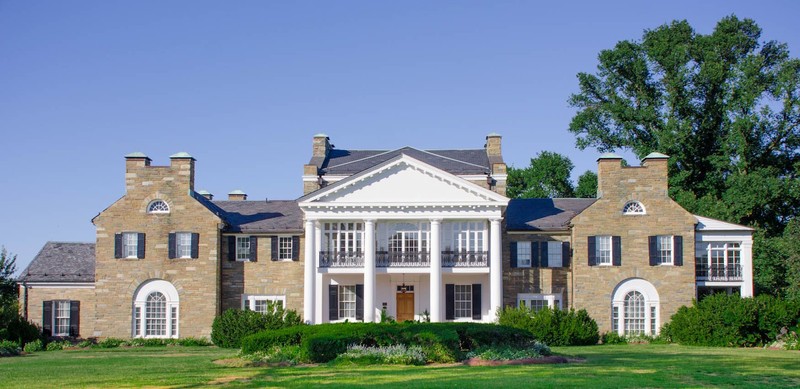 building, mansion, grass, column, balcony, house, plant, sky