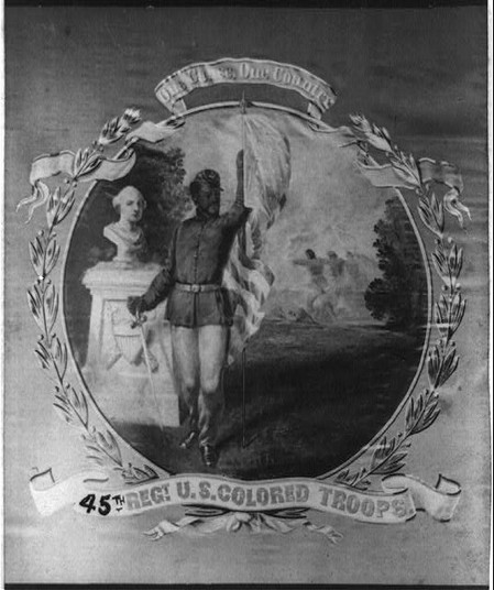 45th USCT Flag