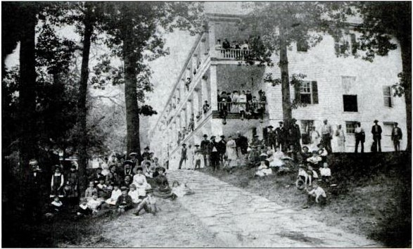 Photograph, Tree, Building, Adaptation