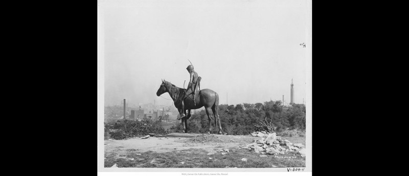 Horse, Working animal, Sky, Plant