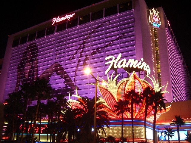 A view of the Flamingo.