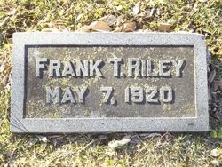 Cemetery, Grass, Plant, Font