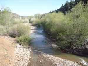 A section of Cibecue Creek as it looks today
