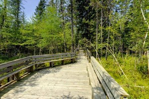 Visitors can enoy swimming, camping, hiking and other activities at the park