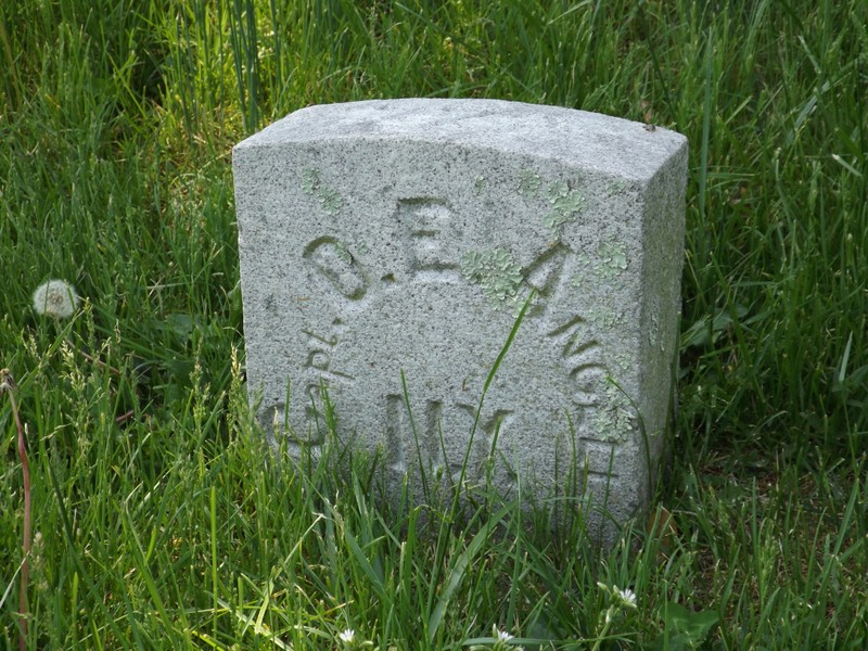 Plant, Cemetery, Grave, Grass