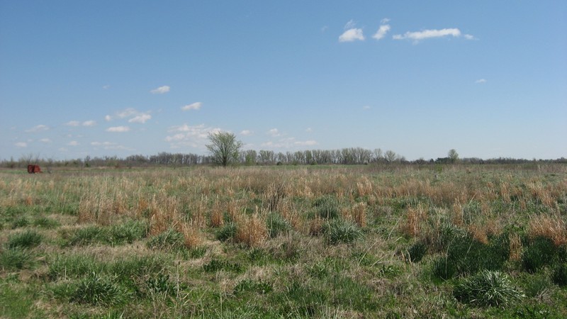 An overview of the Eaker Site.