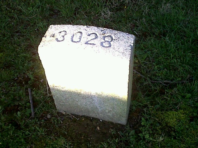 Headstone, Rectangle, Cemetery, Grave