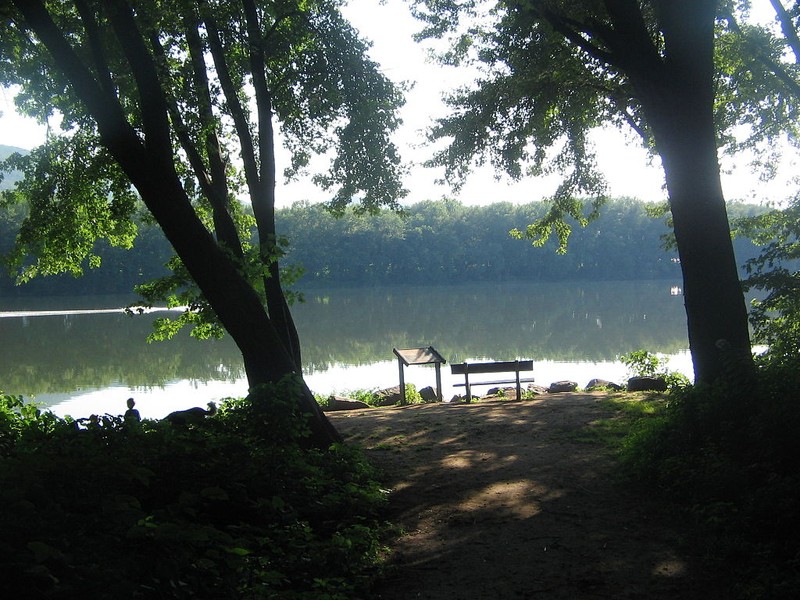 Interpretive signs on the island
