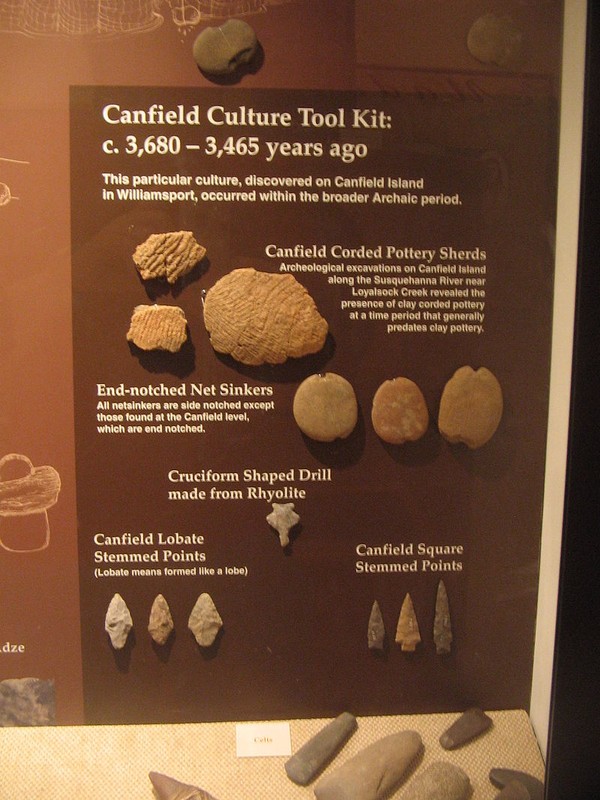 Some artifacts found on the island