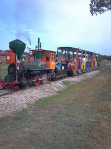 The miniature steam train