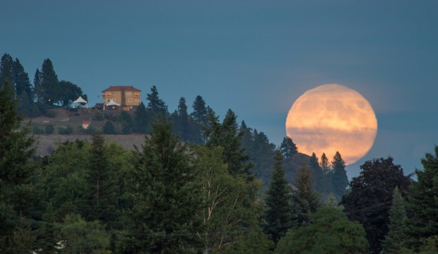 The Washington moon over the estate.