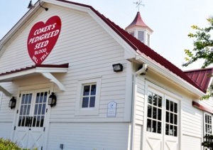 Coker Farms (Photo courtesy of the City of Hartsville, SC)