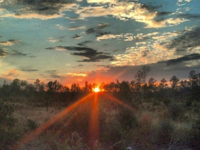 Sunrise over The Big Thicket National Preserve