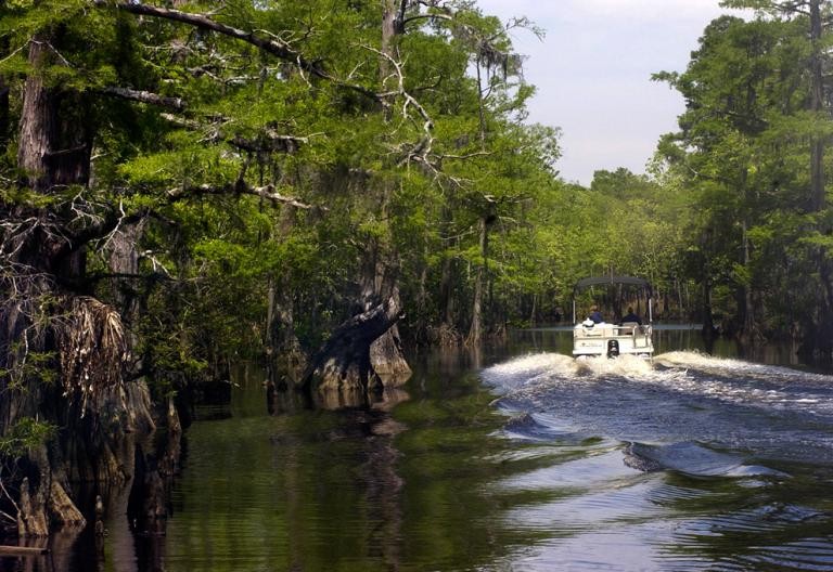 A boat touring the preserve's vast swamp lands.