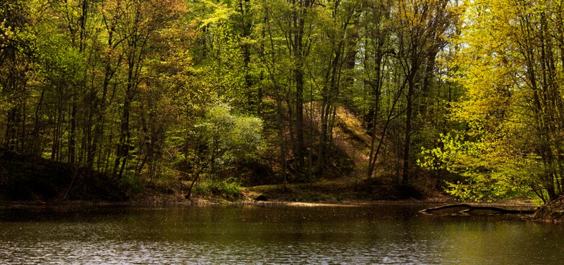 Pittenger Pond was created with an earthen dam. The pond was stocked with small mouth bass and a favorite area for the family. The dam has since been removed. 