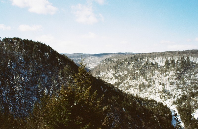 View of Blackwater Canyon from the park lodge overlook
Photo Credit: L. Andrew Price