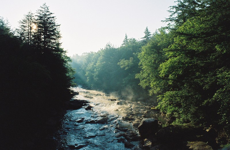 The Blackwater River in the summer season
Photo Credit: L. Andrew Price