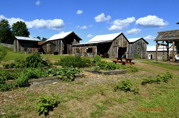 Viiew of the museum grounds