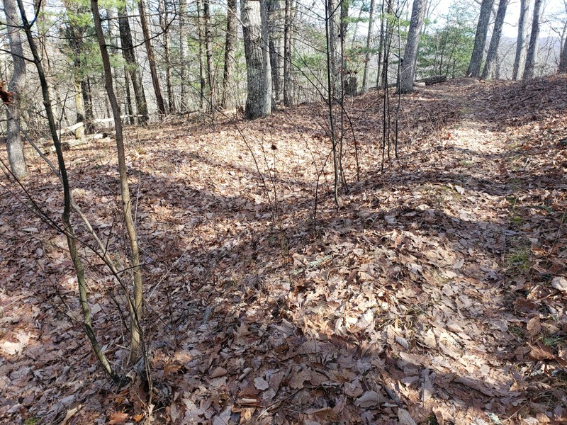 Remains of the trenches