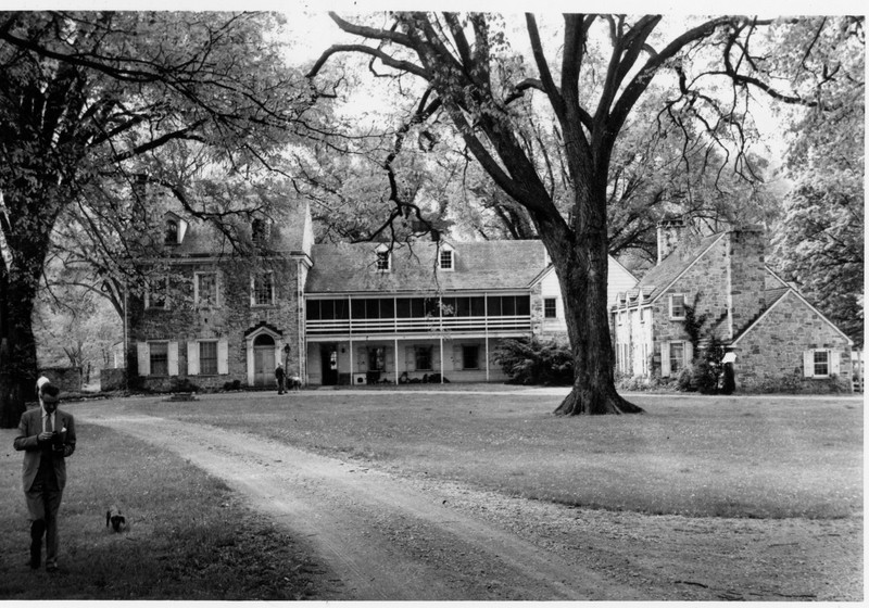 Building, Photograph, White, Tree