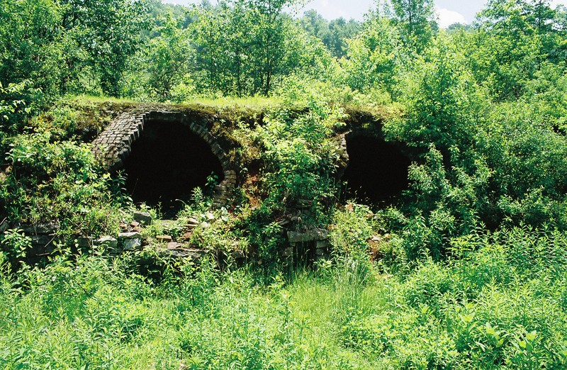 Beehive coke ovens