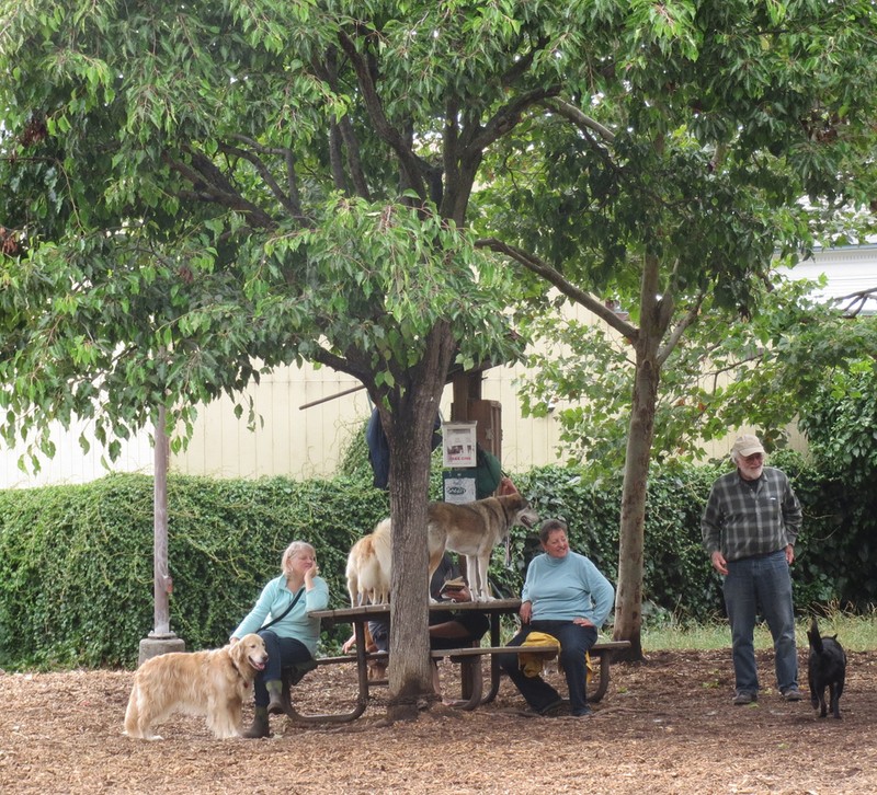 The Ohlone Dog Park in Ohlone Park (previously the "People's Park Annex")