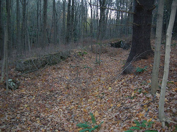 Remains of the millrace that was part of a mill owned and operated by Wilford’s father, Aphek Woodruff, Avon, Connecticut, November 2007. 