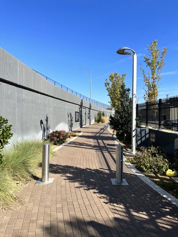 Sky, Plant, Street light, Asphalt