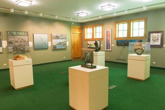 View of some of Peterson's collection on display.