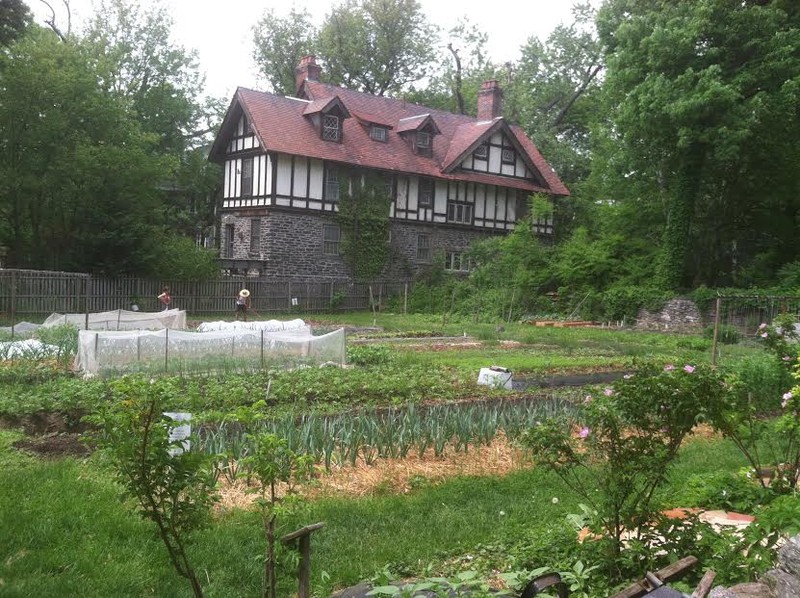 The Home Farm, late Spring 2015